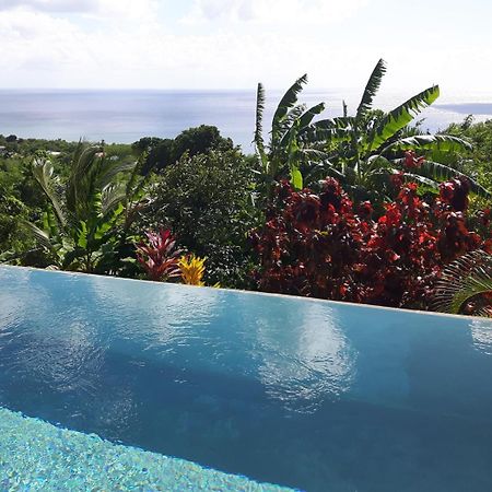 Kaye Mango Villa Soufrière Buitenkant foto