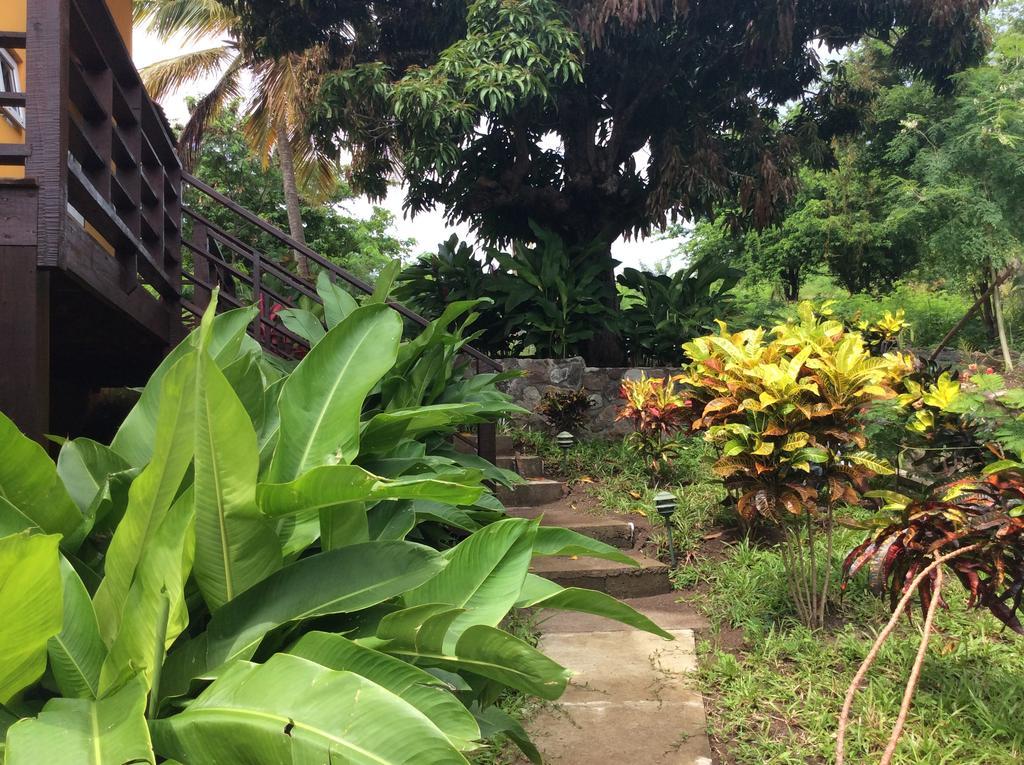 Kaye Mango Villa Soufrière Buitenkant foto