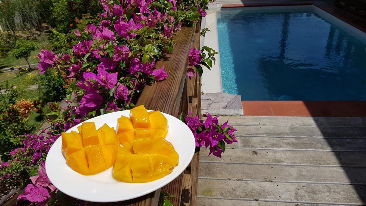 Kaye Mango Villa Soufrière Buitenkant foto
