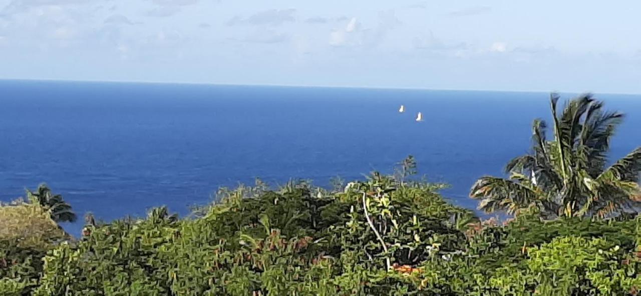 Kaye Mango Villa Soufrière Buitenkant foto