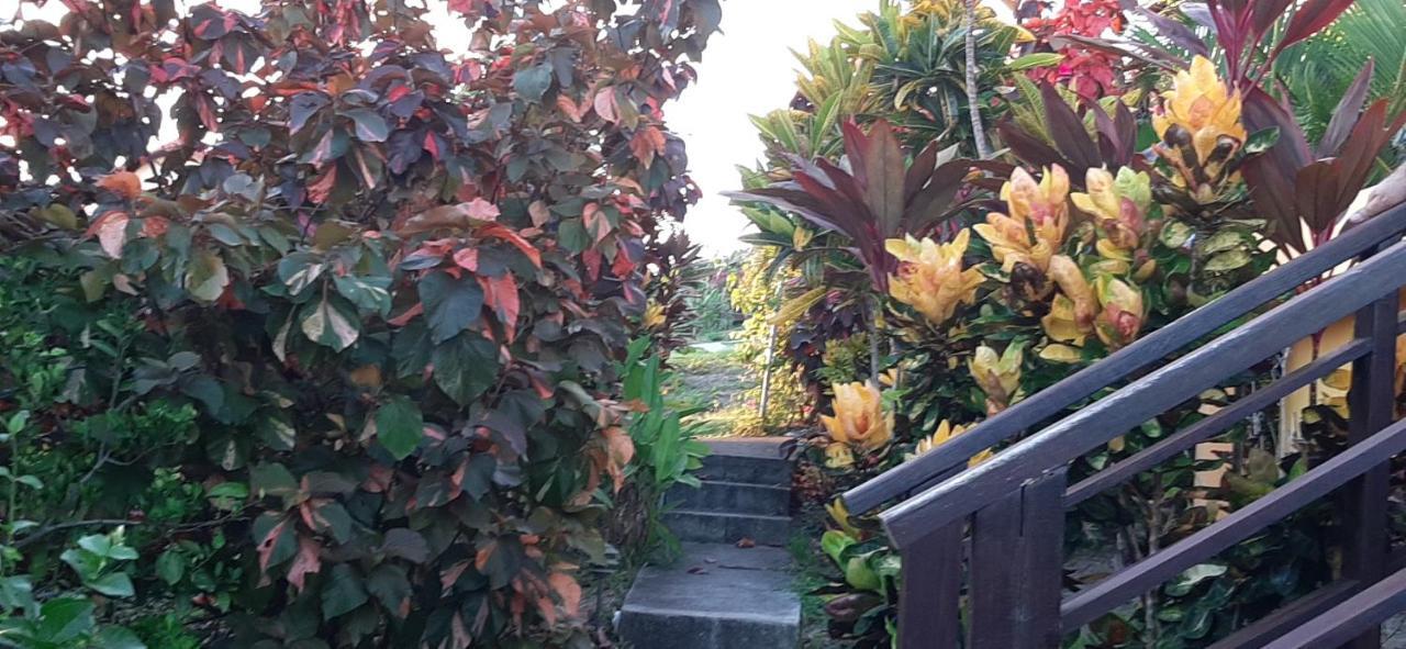 Kaye Mango Villa Soufrière Buitenkant foto