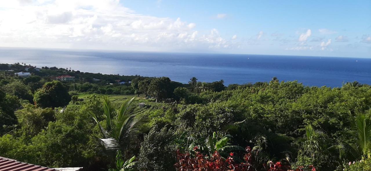 Kaye Mango Villa Soufrière Buitenkant foto