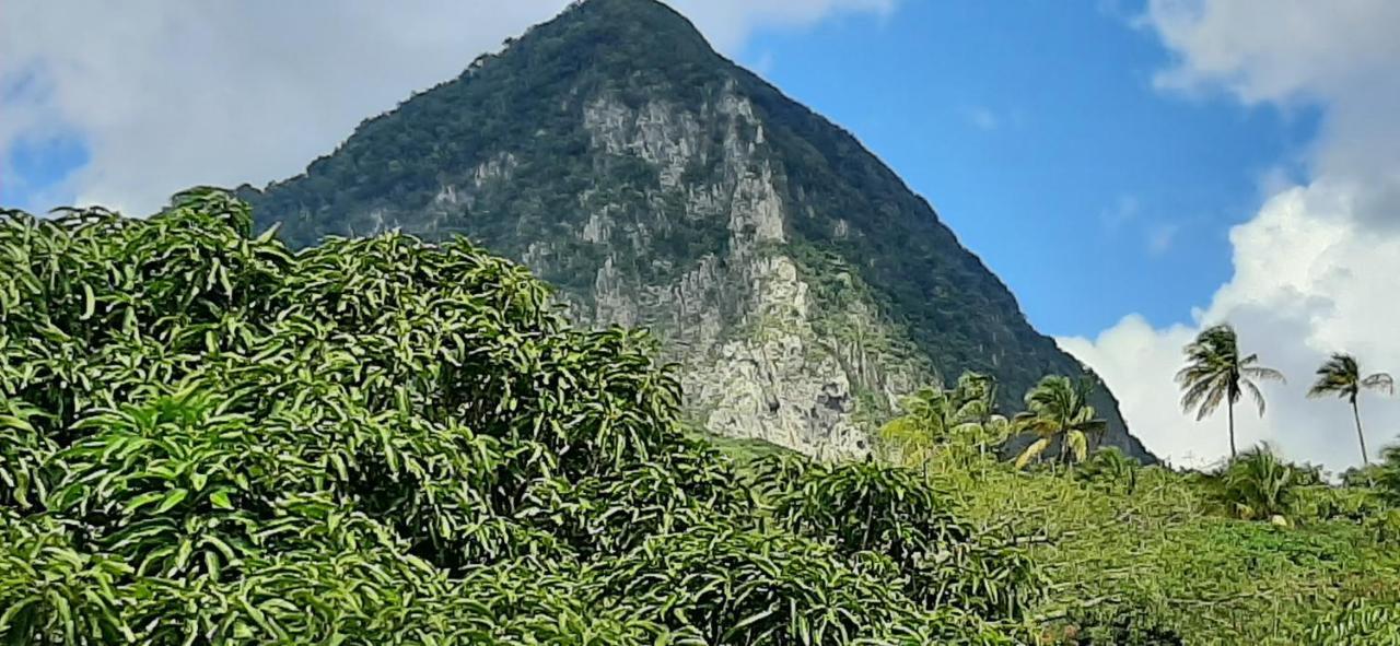 Kaye Mango Villa Soufrière Buitenkant foto