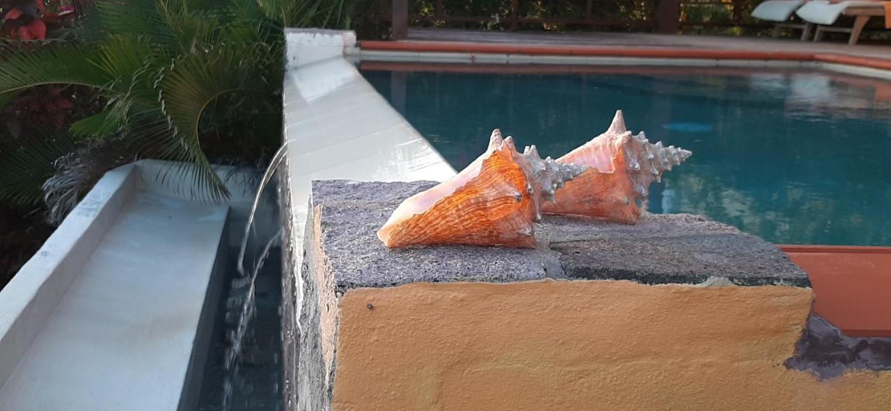 Kaye Mango Villa Soufrière Buitenkant foto